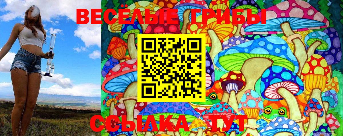 Туапсе  Псилоцибиновые грибы Cubensis  Вход с VPN 